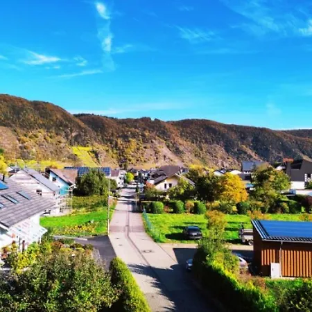 Ferienweingut Gansen Hochgenuss 2 아파트 에른스트