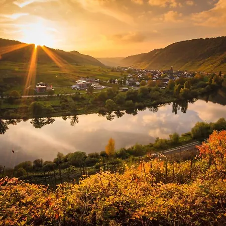 Ferienweingut Gansen Hochgenuss 2 아파트