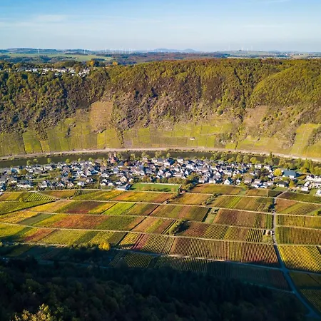 아파트 Ferienweingut Gansen Hochgenuss 2