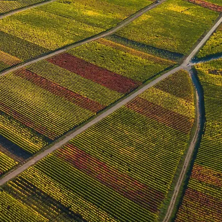 Ferienweingut Gansen Hochgenuss 2 *