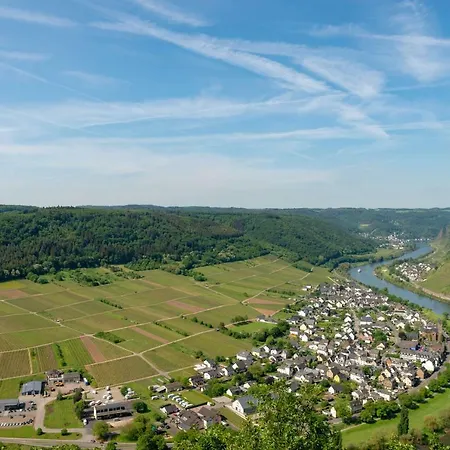 Ferienweingut Gansen Hochgenuss 2 에른스트