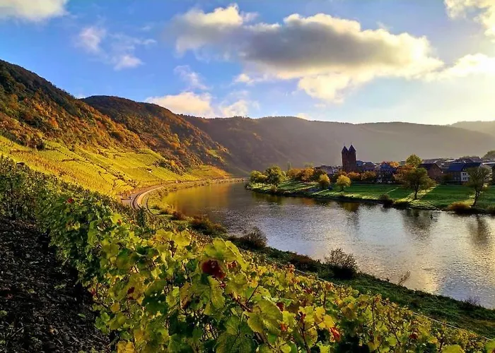Ferienweingut Gansen Hochgenuss 2