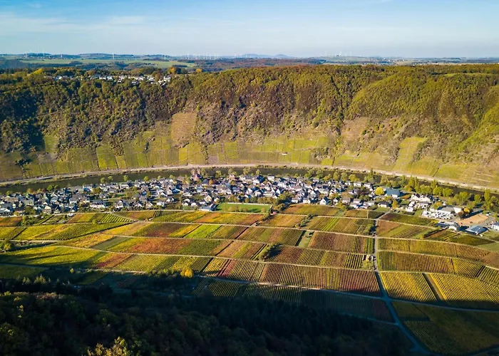 아파트 Ferienweingut Gansen Hochgenuss 2