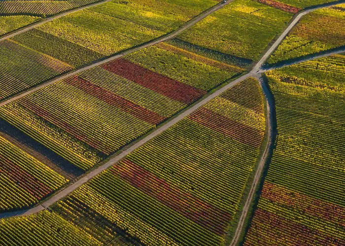 Ferienweingut Gansen Hochgenuss 2 *