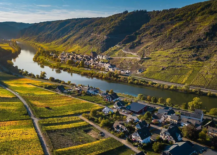 아파트 Ferienweingut Gansen Hochgenuss 2